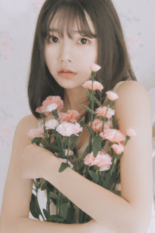风雨送春归